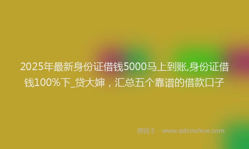 2025年最新身份证借钱5000马上到账,身份证借钱100%下_贷大婶，汇总五个靠谱的借款口子