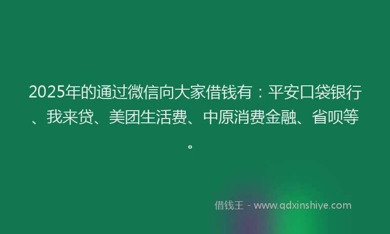 2025年的通过微信向大家借钱有：平安口袋银行、我来贷、美团生活费、中原消费金融、省呗等。