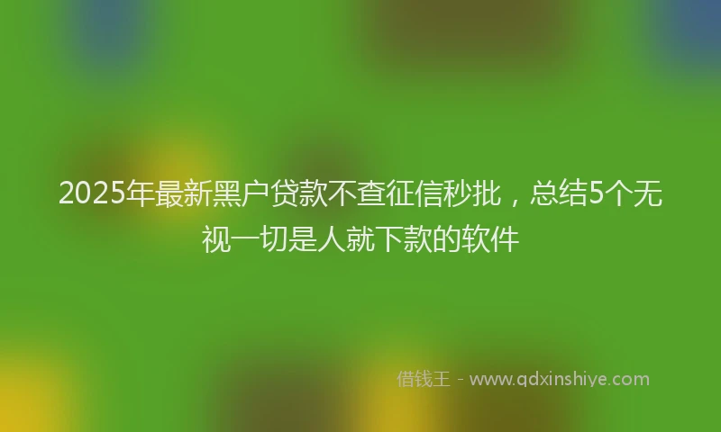 2025年最新黑户贷款不查征信秒批，总结5个无视一切是人就下款的软件