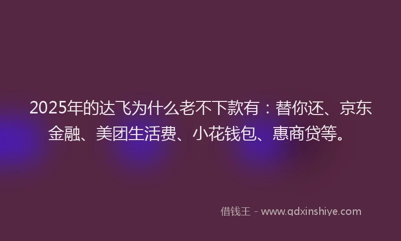 2025年的达飞为什么老不下款有：替你还、京东金融、美团生活费、小花钱包、惠商贷等。