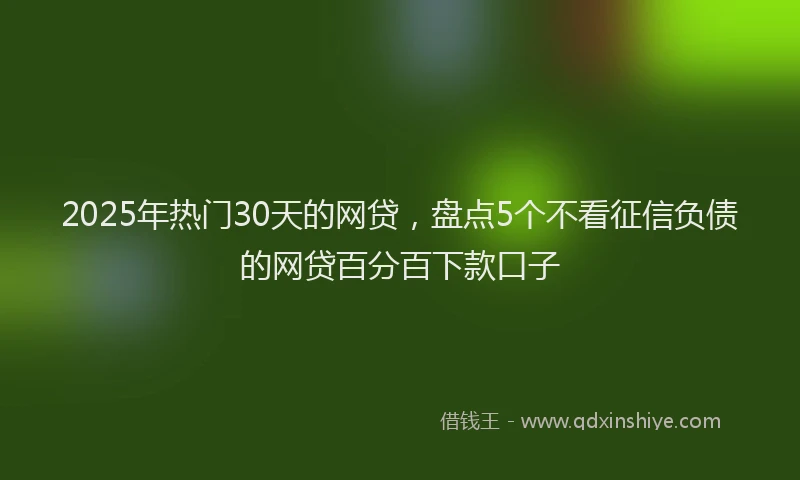 2025年热门30天的网贷，盘点5个不看征信负债的网贷百分百下款口子