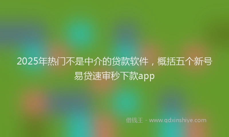 2025年热门不是中介的贷款软件，概括五个新号易贷速审秒下款app