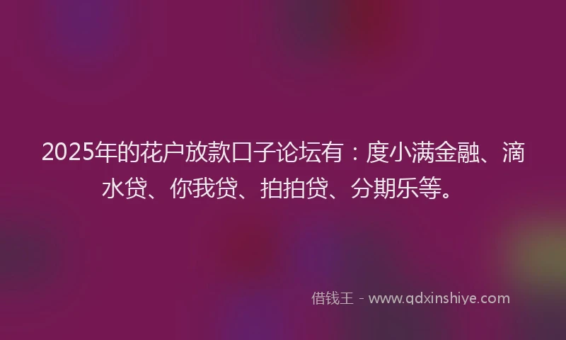 2025年的花户放款口子论坛有：度小满金融、滴水贷、你我贷、拍拍贷、分期乐等。