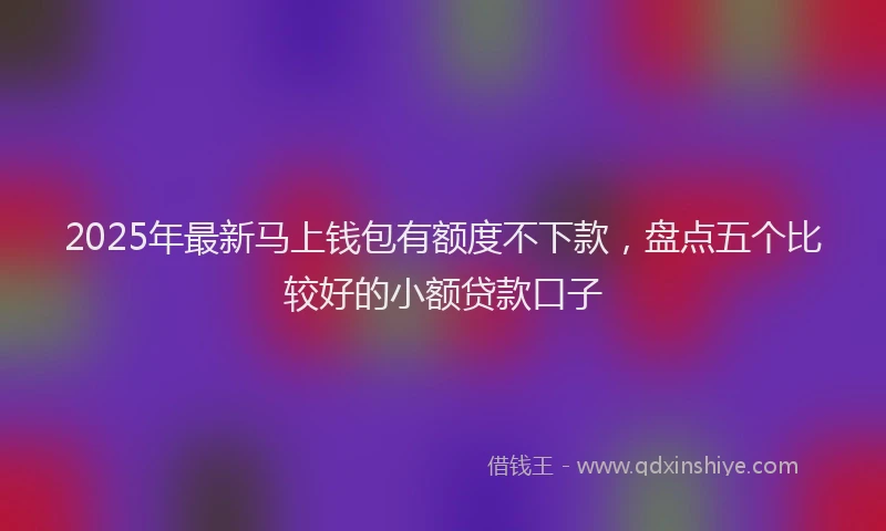 2025年最新马上钱包有额度不下款，盘点五个比较好的小额贷款口子