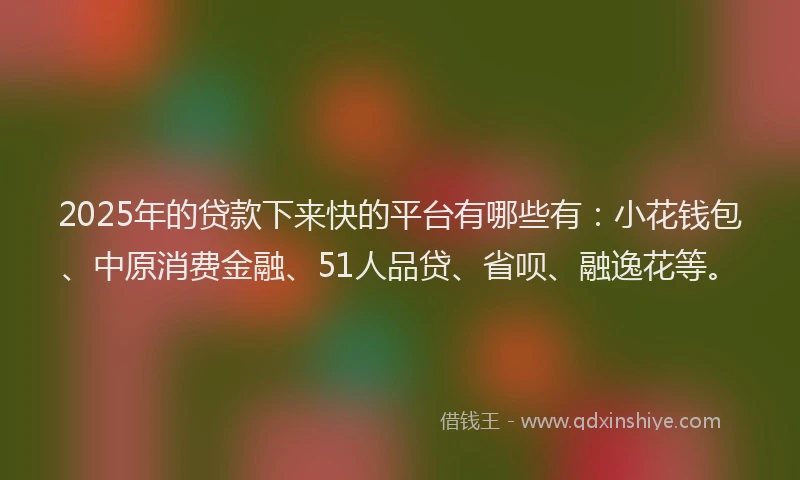 2025年的贷款下来快的平台有哪些有：小花钱包、中原消费金融、51人品贷、省呗、融逸花等。