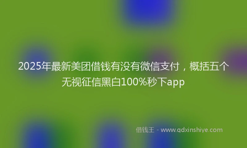 2025年最新美团借钱有没有微信支付，概括五个无视征信黑白100%秒下app