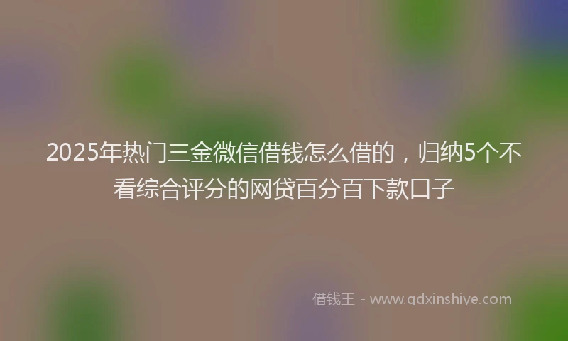 2025年热门三金微信借钱怎么借的，归纳5个不看综合评分的网贷百分百下款口子