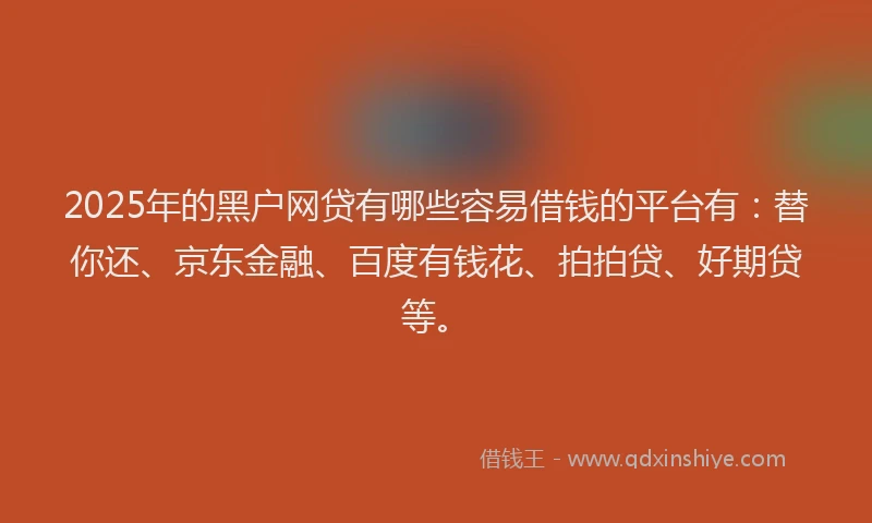 2025年的黑户网贷有哪些容易借钱的平台有：替你还、京东金融、百度有钱花、拍拍贷、好期贷等。