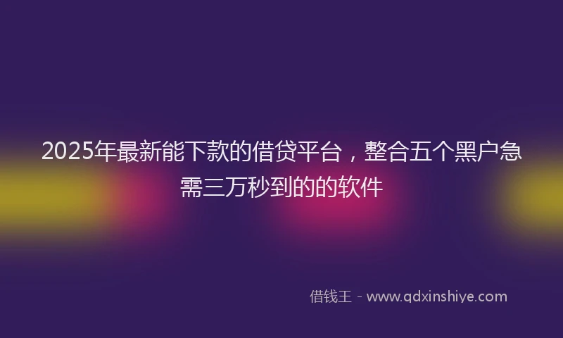 2025年最新能下款的借贷平台，整合五个黑户急需三万秒到的的软件