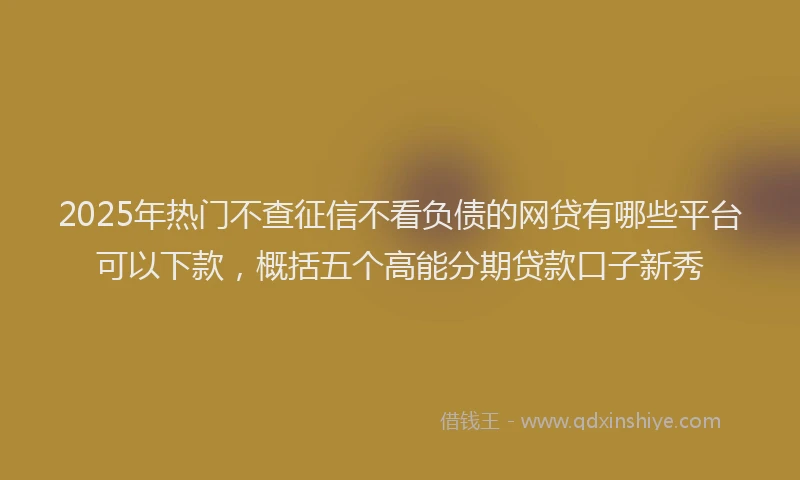2025年热门不查征信不看负债的网贷有哪些平台可以下款，概括五个高能分期贷款口子新秀