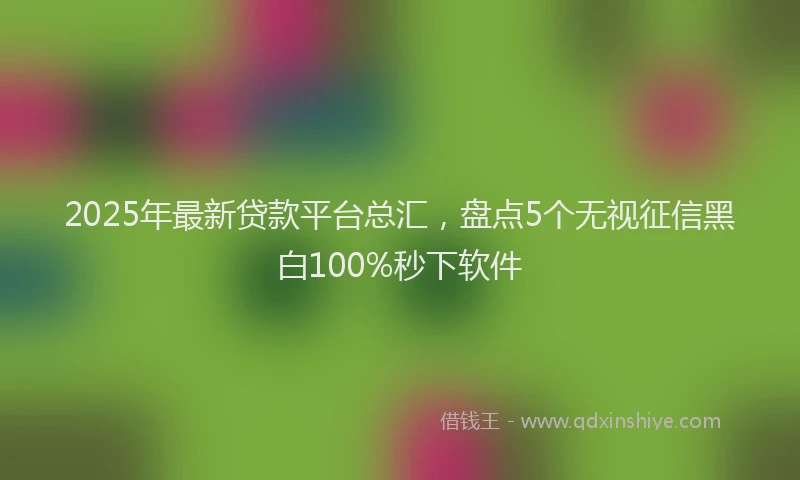 2025年最新贷款平台总汇，盘点5个无视征信黑白100%秒下软件