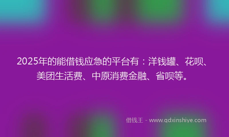 2025年的能借钱应急的平台有：洋钱罐、花呗、美团生活费、中原消费金融、省呗等。