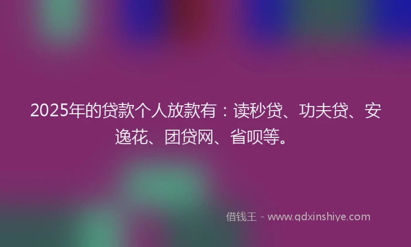 2025年的贷款个人放款有：读秒贷、功夫贷、安逸花、团贷网、省呗等。