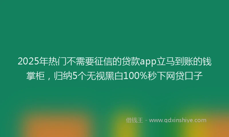 2025年热门不需要征信的贷款app立马到账的钱掌柜，归纳5个无视黑白100%秒下网贷口子