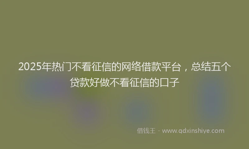2025年热门不看征信的网络借款平台，总结五个贷款好做不看征信的口子