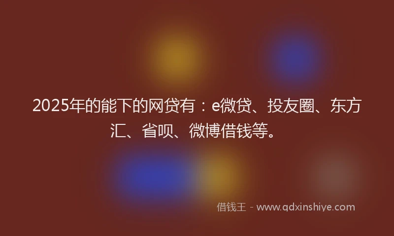 2025年的能下的网贷有：e微贷、投友圈、东方汇、省呗、微博借钱等。