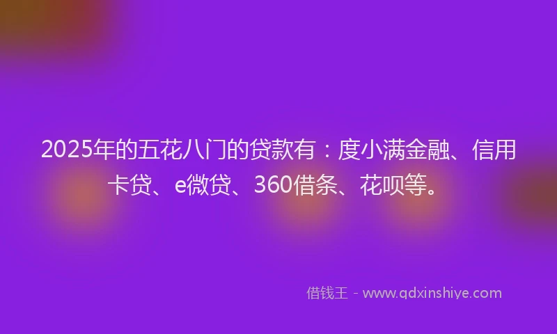 2025年的五花八门的贷款有：度小满金融、信用卡贷、e微贷、360借条、花呗等。