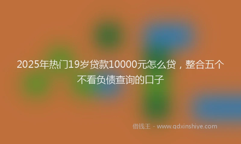 2025年热门19岁贷款10000元怎么贷，整合五个不看负债查询的口子