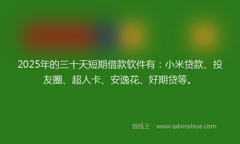 2025年的三十天短期借款软件有：小米贷款、投友圈、超人卡、安逸花、好期贷等。