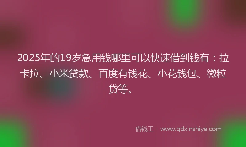 2025年的19岁急用钱哪里可以快速借到钱有：拉卡拉、小米贷款、百度有钱花、小花钱包、微粒贷等。