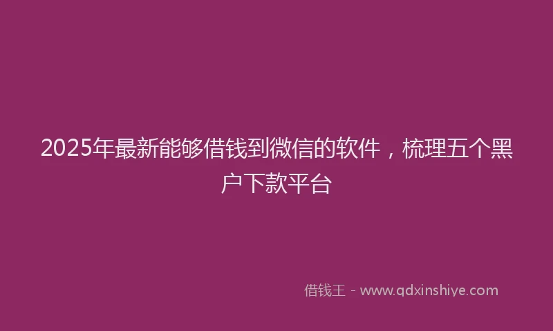 2025年最新能够借钱到微信的软件，梳理五个黑户下款平台
