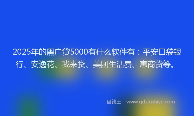 2025年的黑户贷5000有什么软件有：平安口袋银行、安逸花、我来贷、美团生活费、惠商贷等。