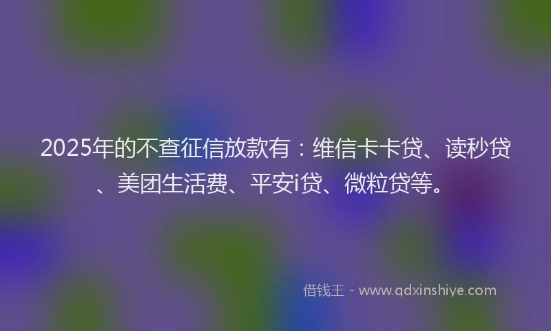 2025年的不查征信放款有：维信卡卡贷、读秒贷、美团生活费、平安i贷、微粒贷等。