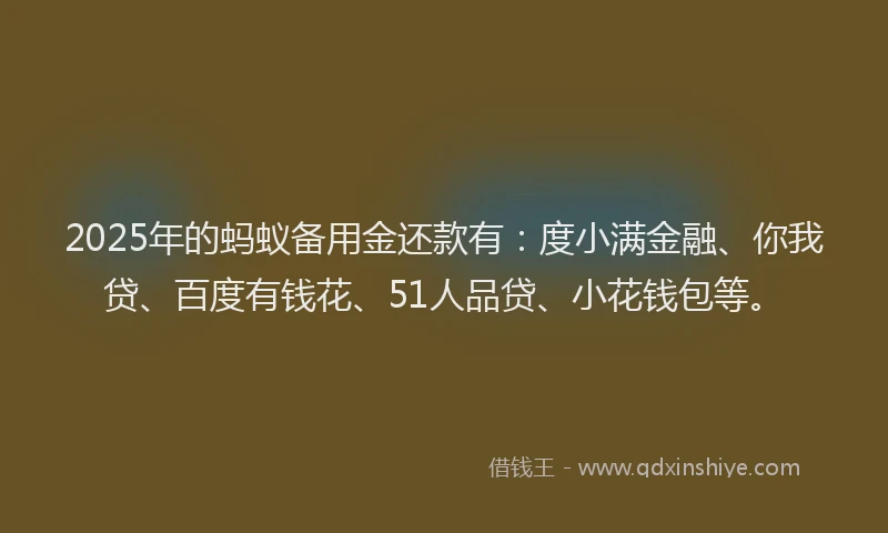 2025年的蚂蚁备用金还款有：度小满金融、你我贷、百度有钱花、51人品贷、小花钱包等。