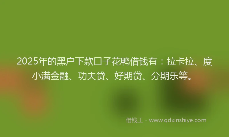 2025年的黑户下款口子花鸭借钱有：拉卡拉、度小满金融、功夫贷、好期贷、分期乐等。