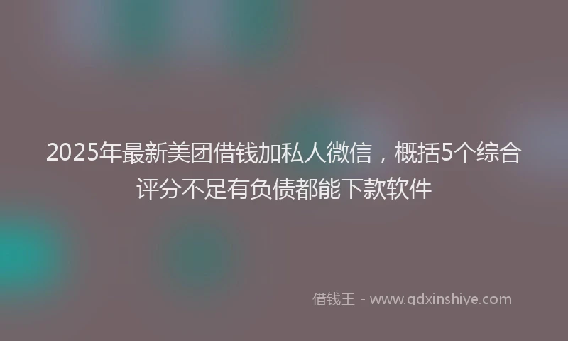 2025年最新美团借钱加私人微信，概括5个综合评分不足有负债都能下款软件