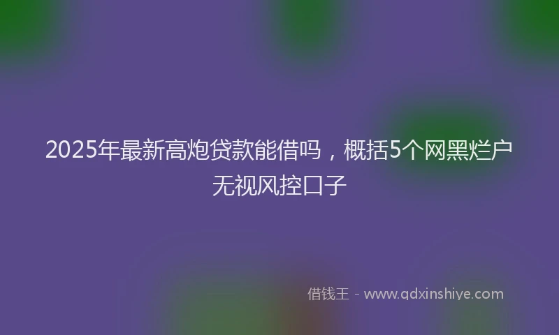 2025年最新高炮贷款能借吗，概括5个网黑烂户无视风控口子
