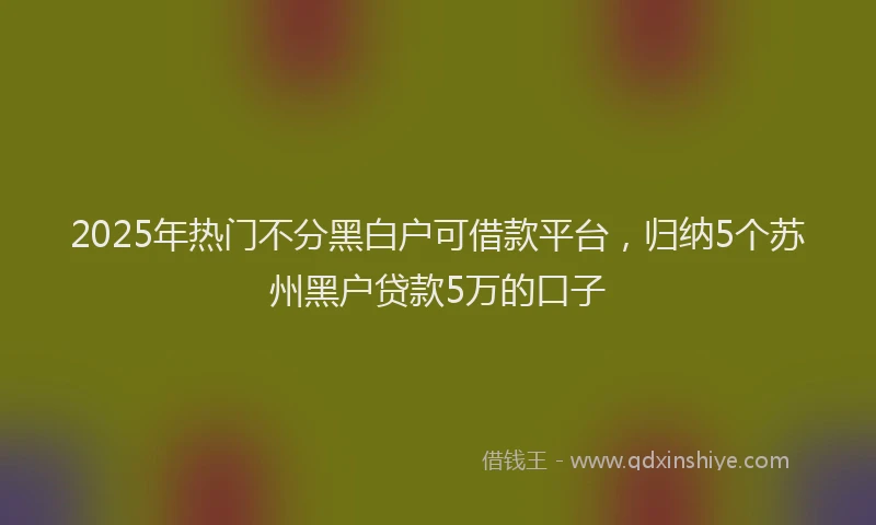 2025年热门不分黑白户可借款平台，归纳5个苏州黑户贷款5万的口子