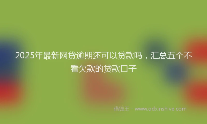 2025年最新网贷逾期还可以贷款吗，汇总五个不看欠款的贷款口子