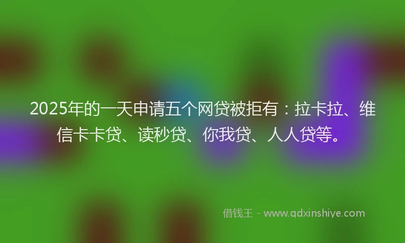 2025年的一天申请五个网贷被拒有：拉卡拉、维信卡卡贷、读秒贷、你我贷、人人贷等。