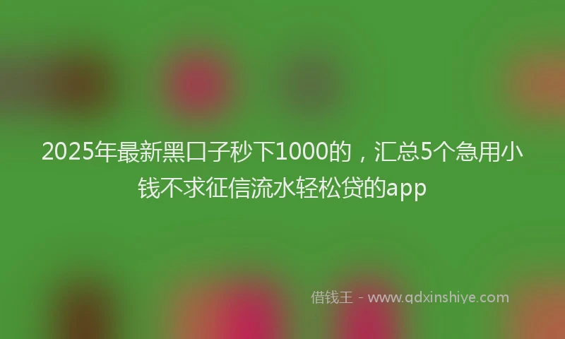 2025年最新黑口子秒下1000的，汇总5个急用小钱不求征信流水轻松贷的app