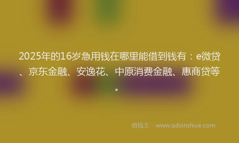 2025年的16岁急用钱在哪里能借到钱有：e微贷、京东金融、安逸花、中原消费金融、惠商贷等。