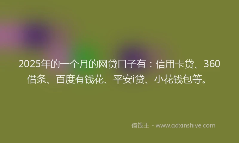 2025年的一个月的网贷口子有：信用卡贷、360借条、百度有钱花、平安i贷、小花钱包等。