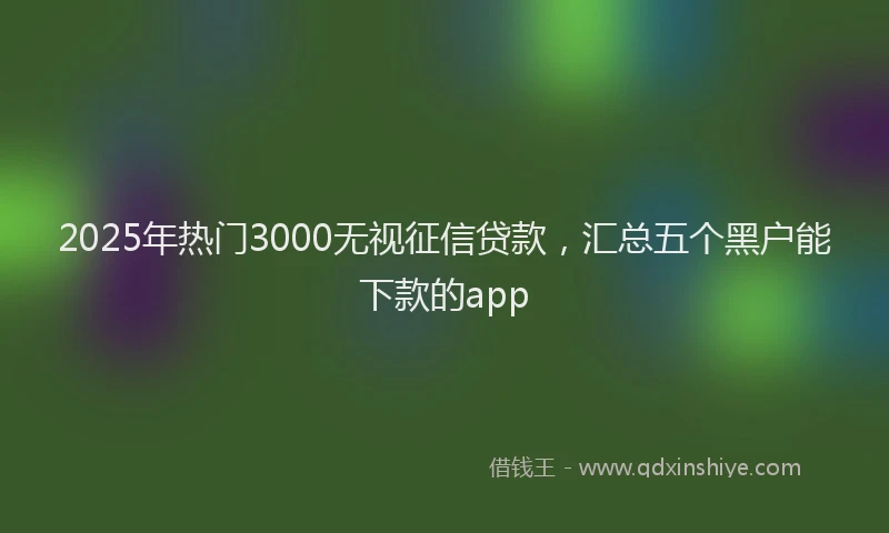 2025年热门3000无视征信贷款，汇总五个黑户能下款的app