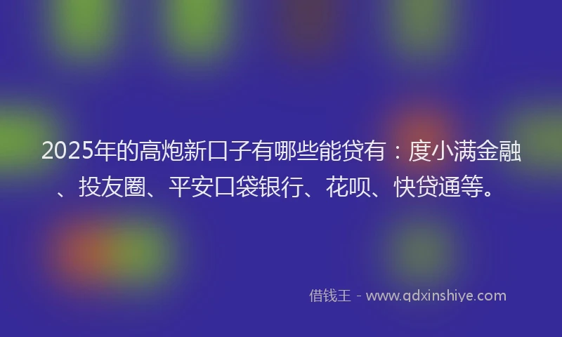 2025年的高炮新口子有哪些能贷有：度小满金融、投友圈、平安口袋银行、花呗、快贷通等。