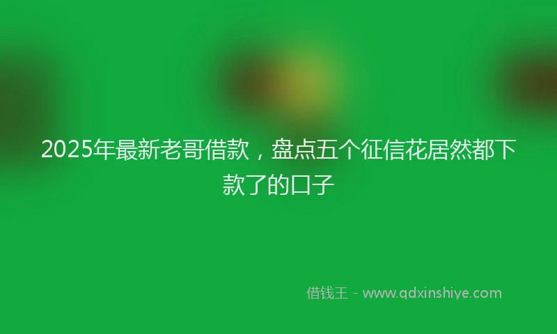 2025年最新老哥借款，盘点五个征信花居然都下款了的口子