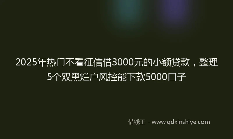 2025年热门不看征信借3000元的小额贷款，整理5个双黑烂户风控能下款5000口子