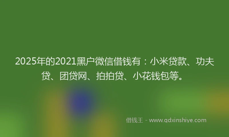 2025年的2021黑户微信借钱有：小米贷款、功夫贷、团贷网、拍拍贷、小花钱包等。