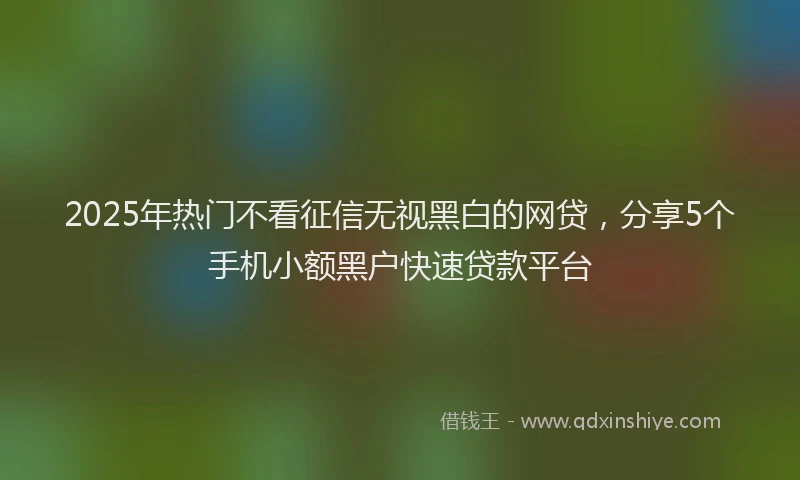 2025年热门不看征信无视黑白的网贷，分享5个手机小额黑户快速贷款平台