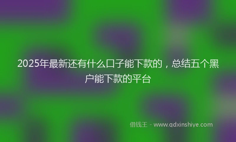 2025年最新还有什么口子能下款的，总结五个黑户能下款的平台
