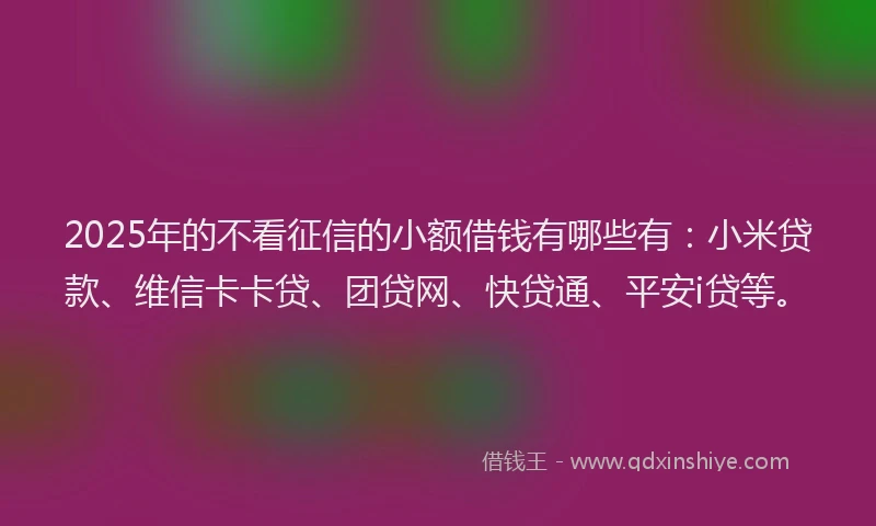 2025年的不看征信的小额借钱有哪些有：小米贷款、维信卡卡贷、团贷网、快贷通、平安i贷等。