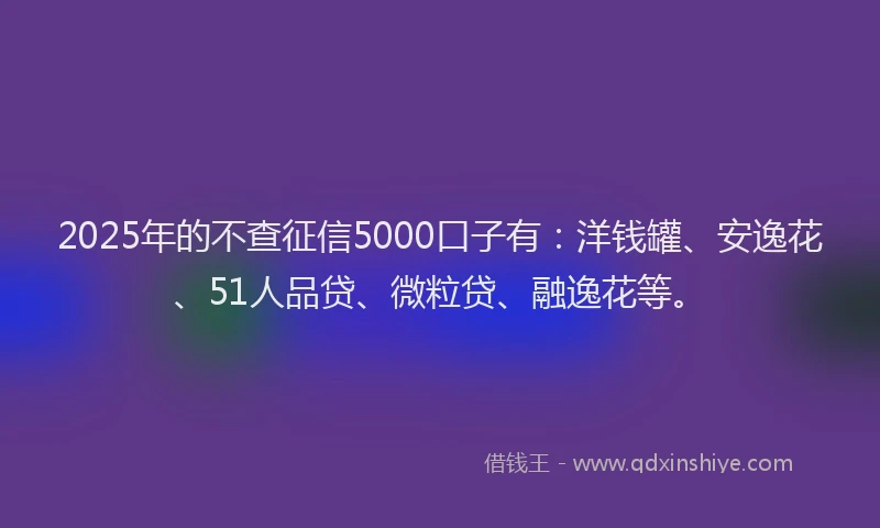 2025年的不查征信5000口子有：洋钱罐、安逸花、51人品贷、微粒贷、融逸花等。