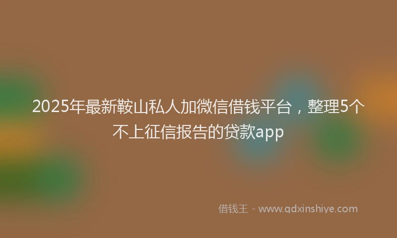 2025年最新鞍山私人加微信借钱平台，整理5个不上征信报告的贷款app