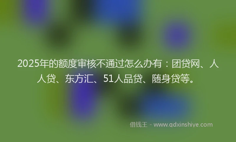 2025年的额度审核不通过怎么办有：团贷网、人人贷、东方汇、51人品贷、随身贷等。