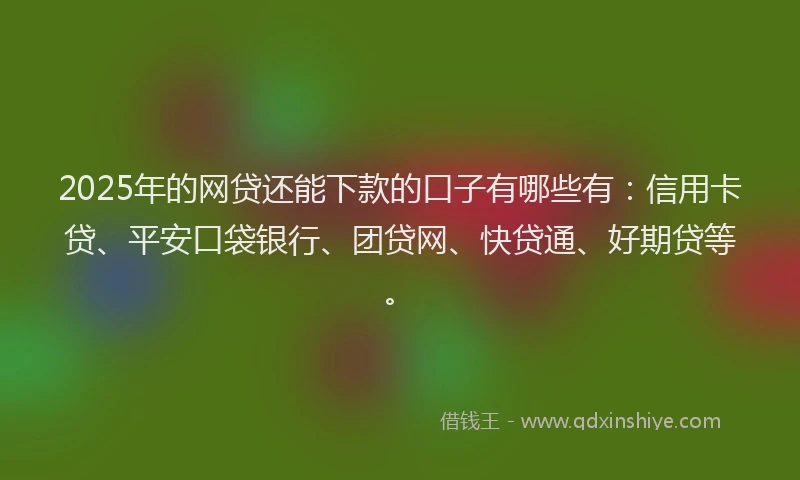 2025年的网贷还能下款的口子有哪些有：信用卡贷、平安口袋银行、团贷网、快贷通、好期贷等。
