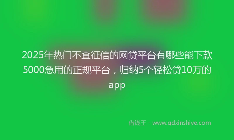 2025年热门不查征信的网贷平台有哪些能下款5000急用的正规平台，归纳5个轻松贷10万的app